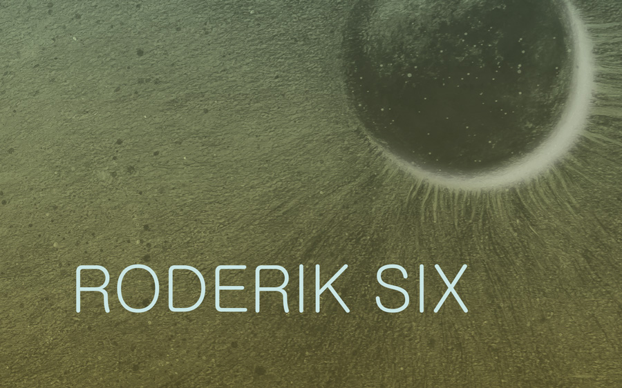 Roderik Six